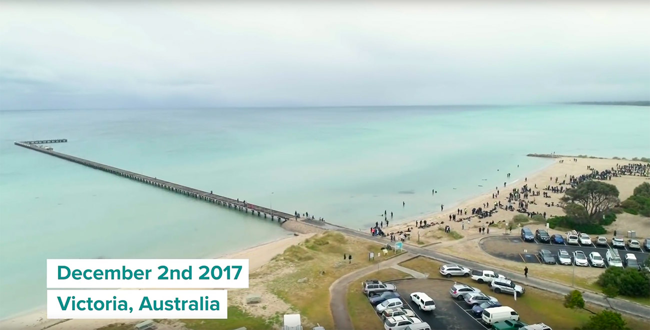 Diving Industry of Victoria Association